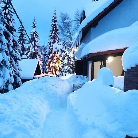 Uki & Sofi Mountain House Hotel Kopaonik Ngoại thất bức ảnh