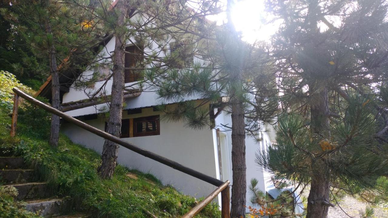 Uki & Sofi Mountain House Hotel Kopaonik Ngoại thất bức ảnh