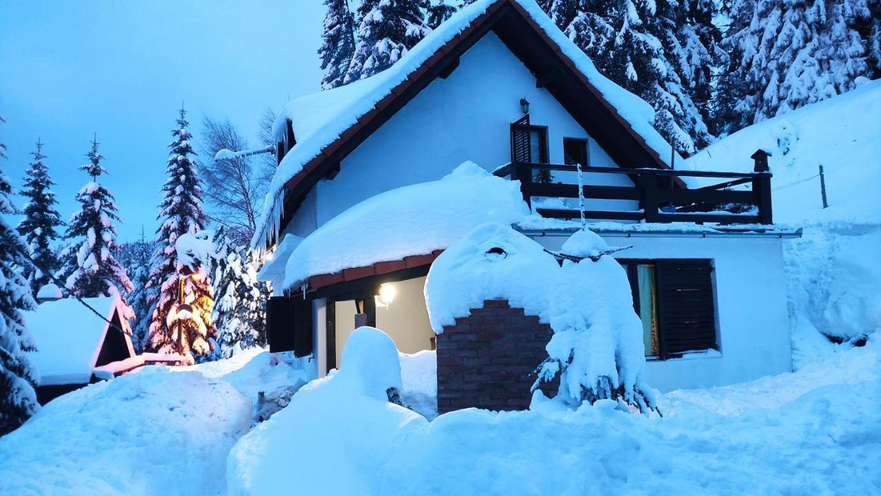Uki & Sofi Mountain House Hotel Kopaonik Ngoại thất bức ảnh