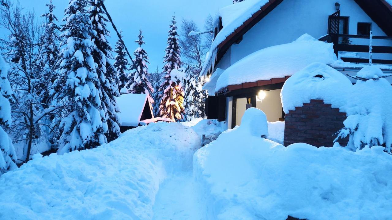 Uki & Sofi Mountain House Hotel Kopaonik Ngoại thất bức ảnh
