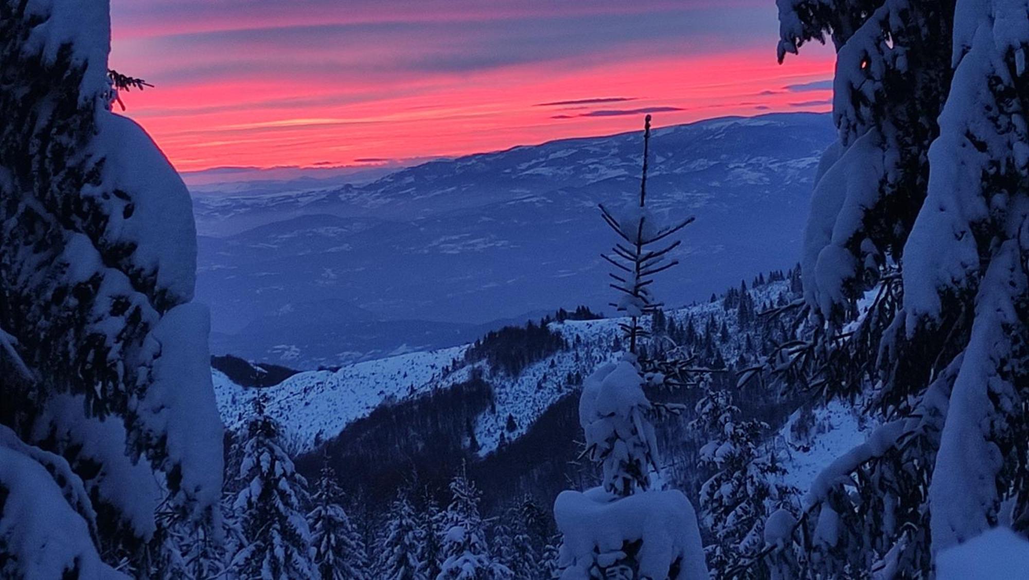 Uki & Sofi Mountain House Hotel Kopaonik Ngoại thất bức ảnh