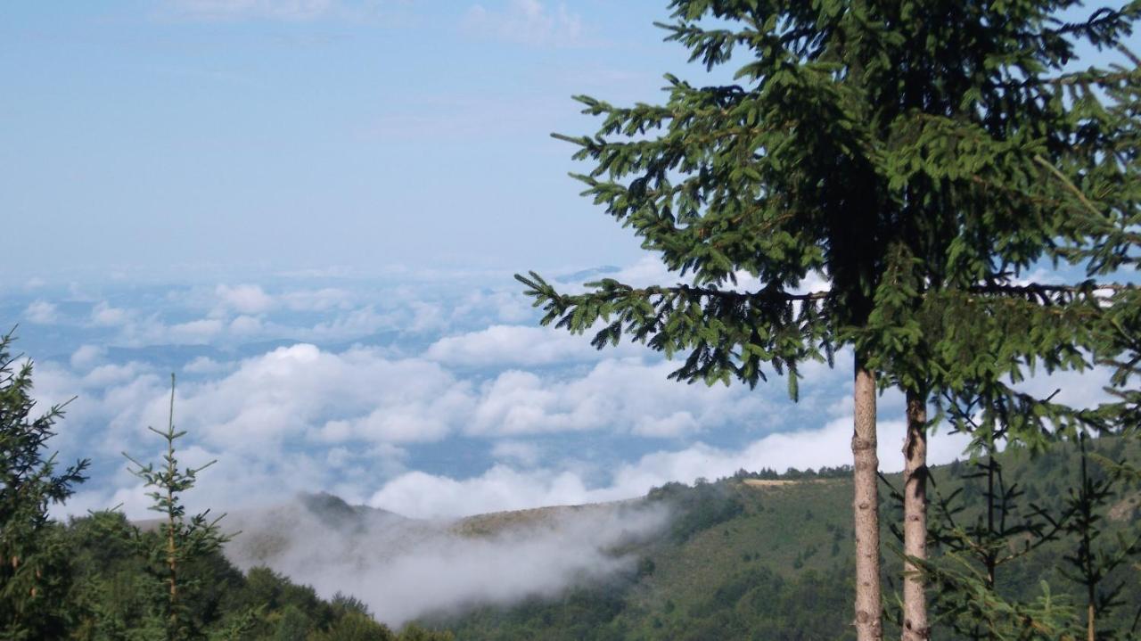 Uki & Sofi Mountain House Hotel Kopaonik Ngoại thất bức ảnh