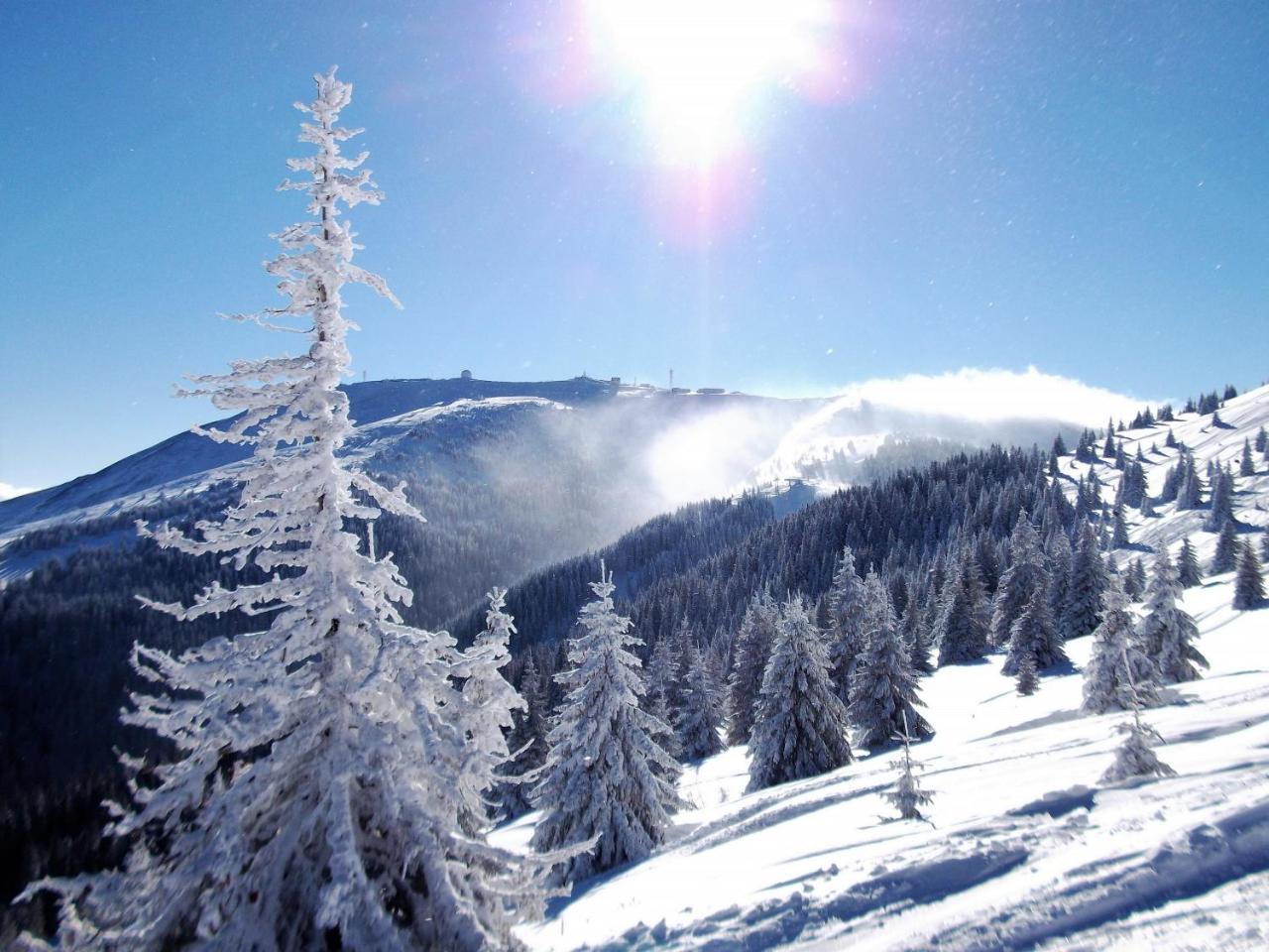 Uki & Sofi Mountain House Hotel Kopaonik Ngoại thất bức ảnh