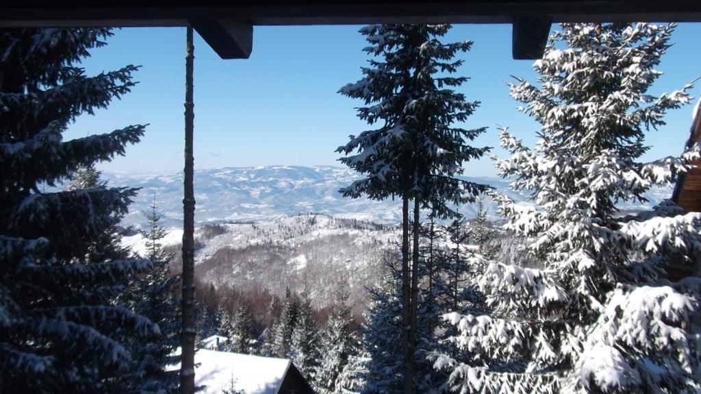 Uki & Sofi Mountain House Hotel Kopaonik Ngoại thất bức ảnh